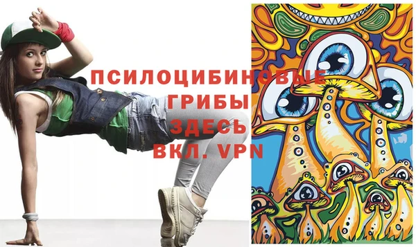 круглые Вязьма