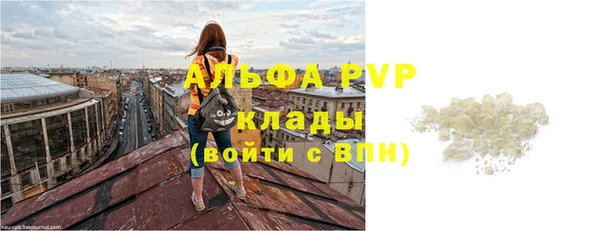 прущие грибы Лихославль