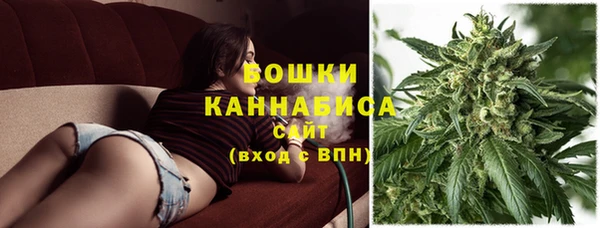 ПСИЛОЦИБИНОВЫЕ ГРИБЫ Лиски